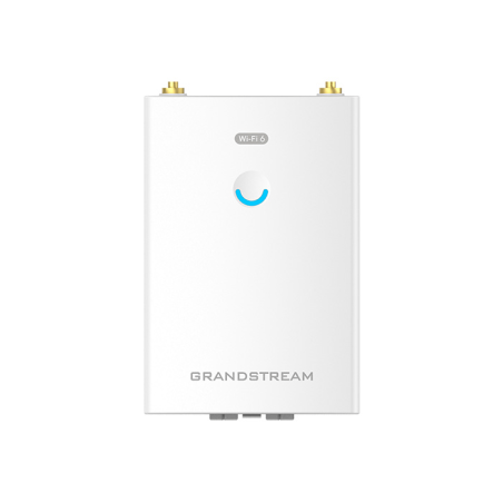 Grandstream GWN7660LR Outdoor Dual-Band Long Range Wi-Fi 6 Access Point
