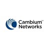CAMBIUM
